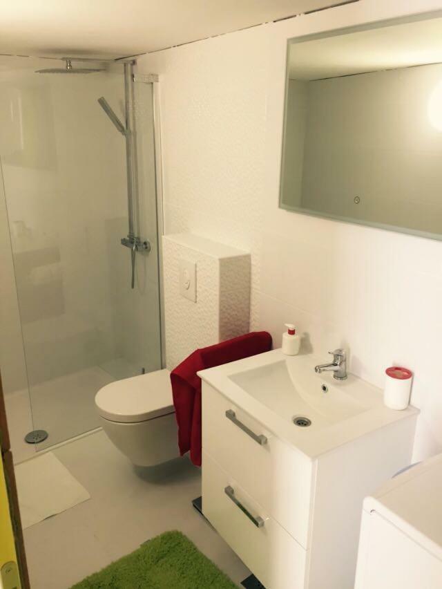 Apartman Crnica ชิเบนิก ภายนอก รูปภาพ